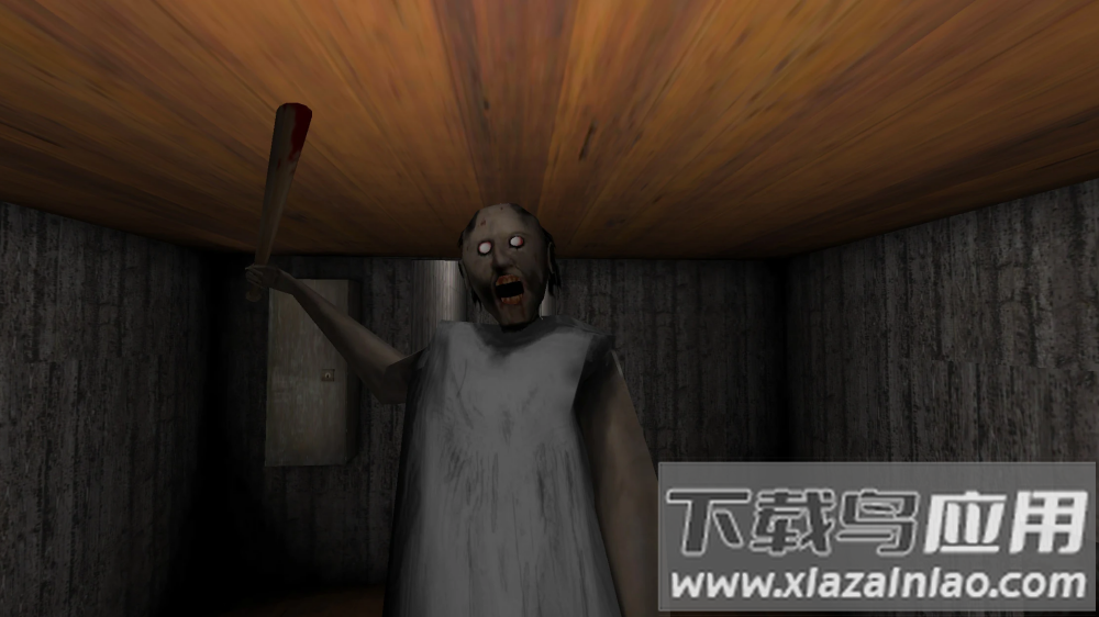 恐怖奶奶游戏(Granny)截图4