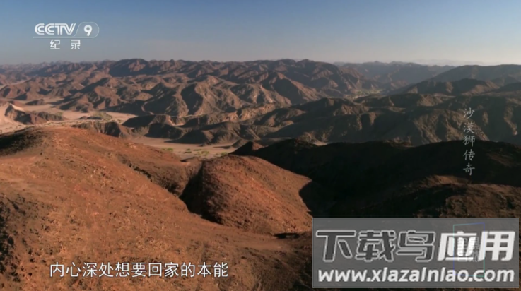 哪吒影院电视tv最新版截图3