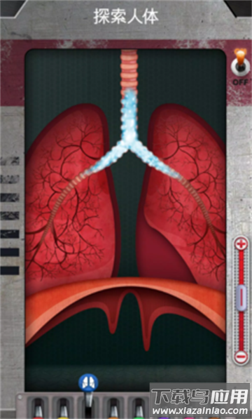 人体是如何运作的手游最新版