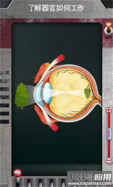 人体是如何运作的手游最新版