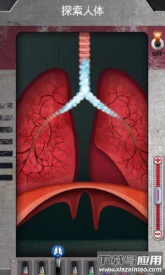 人体是如何运作的手游最新版(人体是如何运作的？安装器)最新版截图1