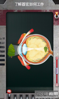 人体是如何运作的手游最新版(人体是如何运作的？安装器)最新版截图2