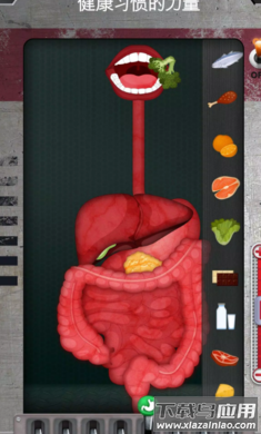 人体是如何运作的手游最新版(人体是如何运作的？安装器)最新版截图3