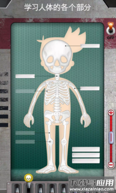 人体是如何运作的手游最新版(人体是如何运作的？安装器)最新版截图4