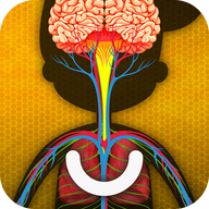 人体是如何运作的手游最新版(人体是如何运作的？安装器)