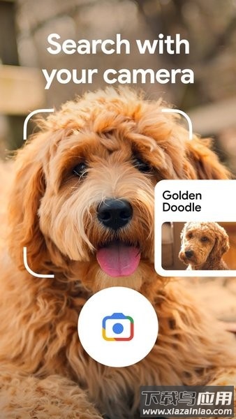 Google谷歌搜索手机版截图4