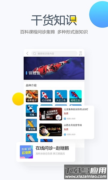 龙巅app