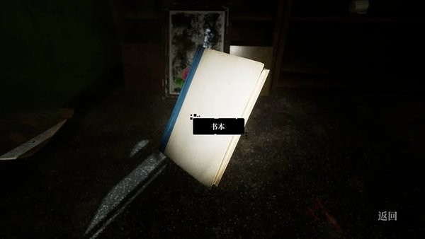 孙美琪疑案画室手游截图