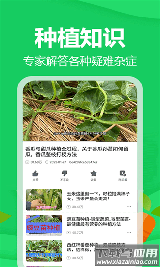 爷爷的农园官方版最新版截图1