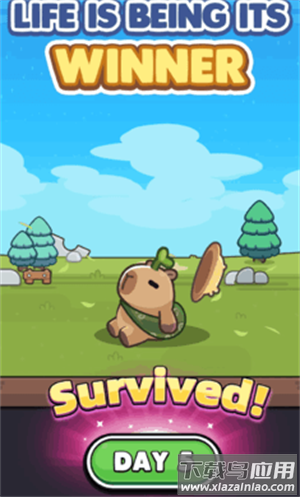 卡皮巴拉go国际服官方正版(capybara安装器)最新版截图1