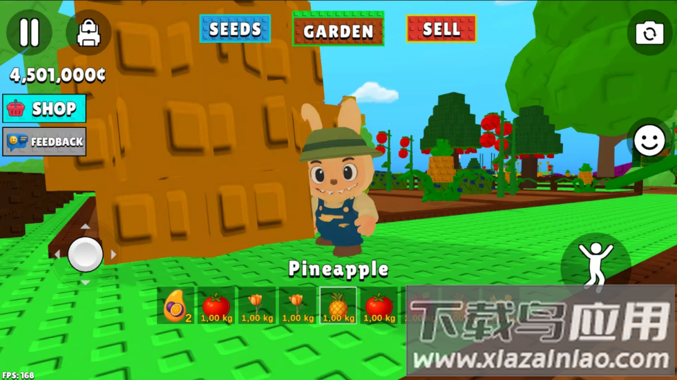 拉布布花园游戏截图