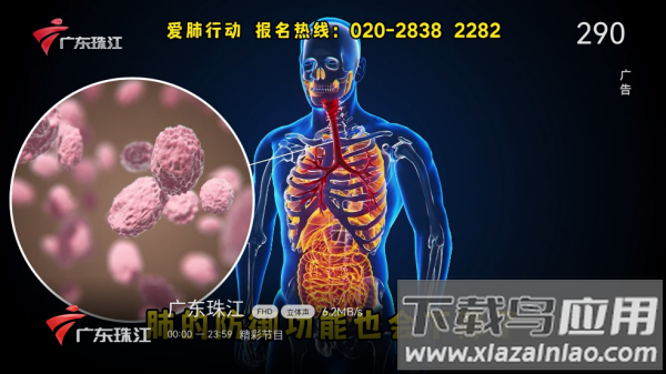 电视家完美版IPV6