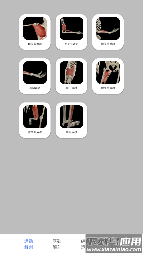 3d运动解剖下载手机版截图1