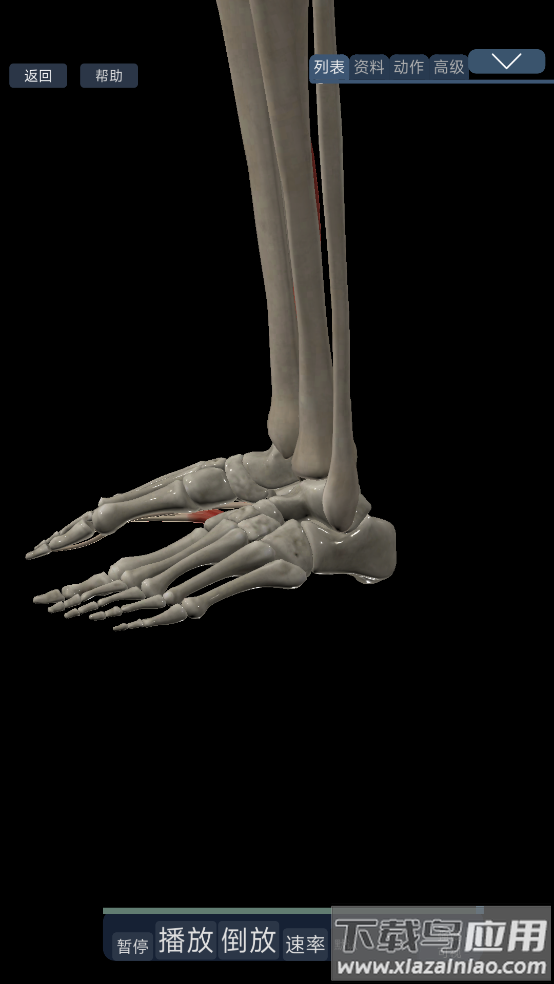 3d运动解剖下载手机版截图4
