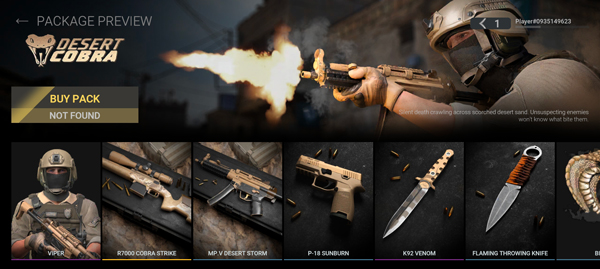 战斗大师国际服(Combat Master)