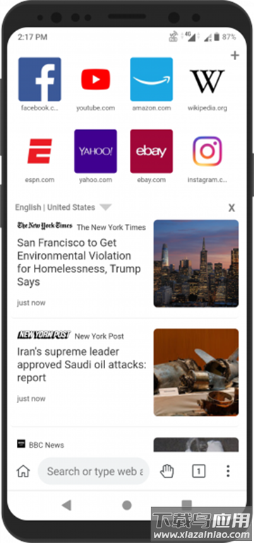 Kiwi浏览器官方版(Kiwi Browser)