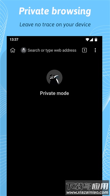 Kiwi浏览器手机版(Kiwi Browser)截图