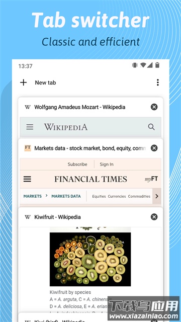 Kiwi浏览器手机版(Kiwi Browser)截图