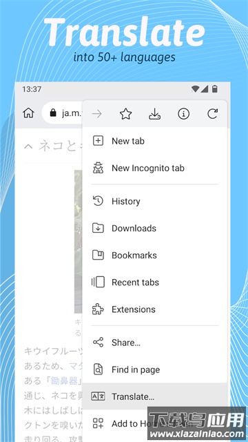 Kiwi浏览器手机版(Kiwi Browser)截图