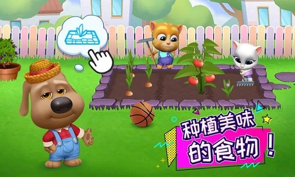 mytalkingtomfriends游戏(汤姆猫总动员)截图