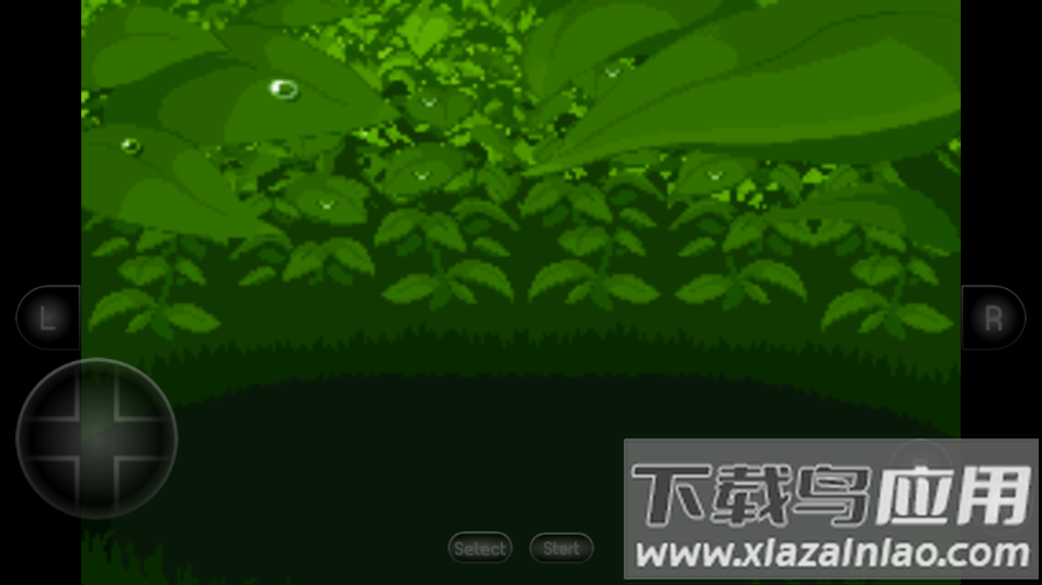 口袋妖怪究极绿宝石5.2中文版最新版截图1