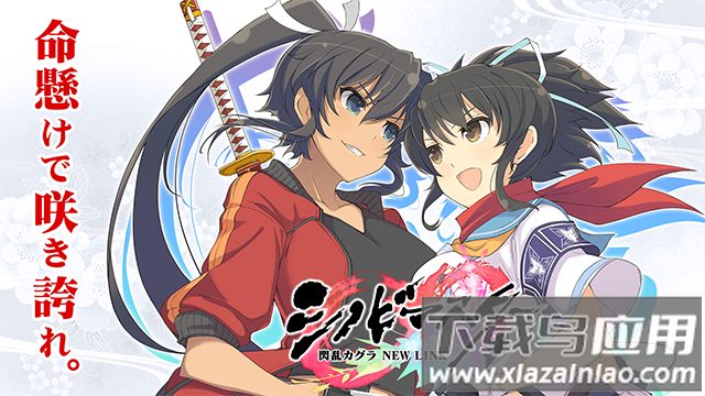 光影链接国际版(シノマス安装器)最新版截图2