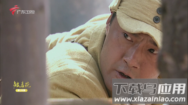 频道多多tv电视直播