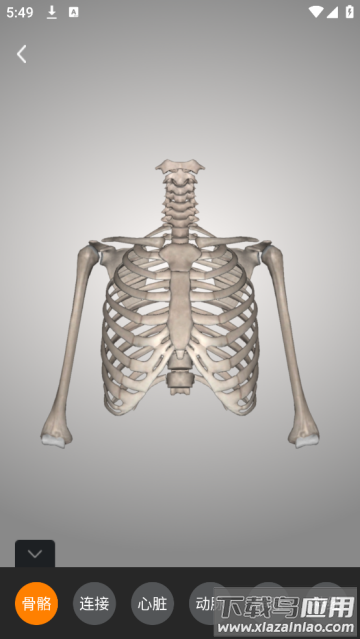 解剖学app