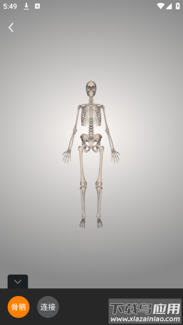 解剖学app