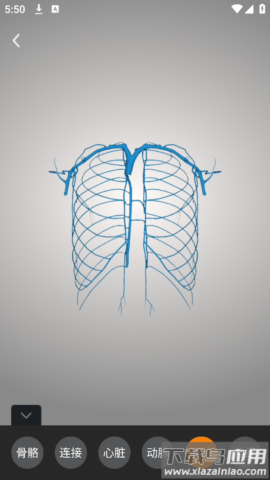 解剖学app最新版截图1