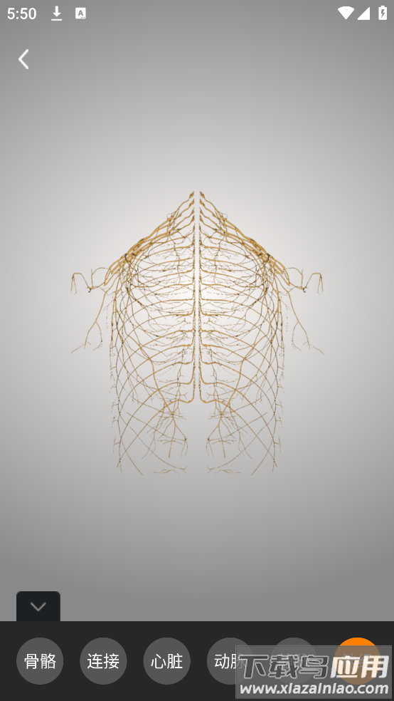 解剖学app最新版截图2