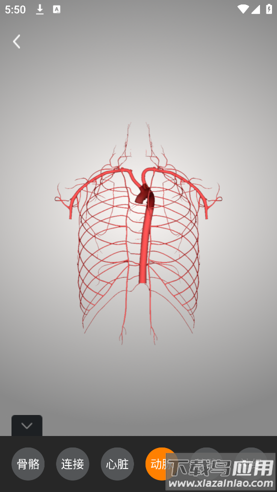 解剖学app最新版截图3
