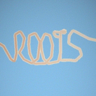 根中文版下载安卓