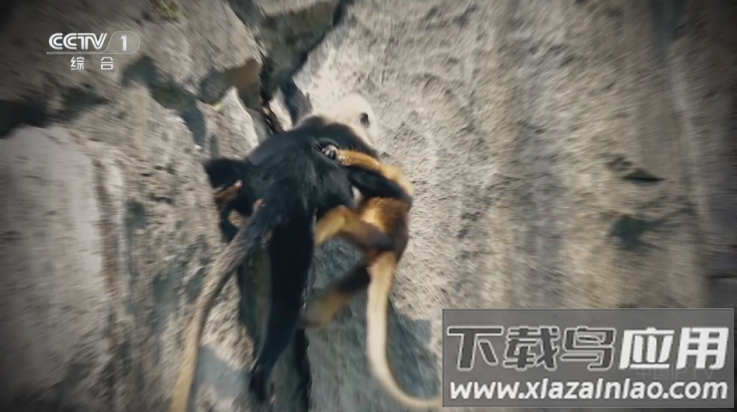 宝盒tv盒子2025最新版本截图4