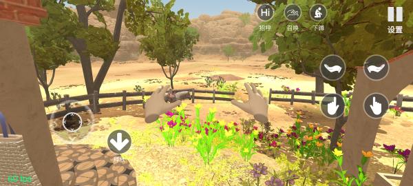 小忍计划官方正版截图2