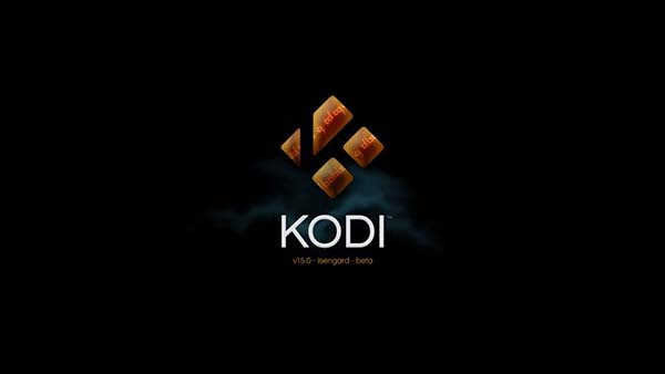 kodi播放器安卓中文版最新版截图1