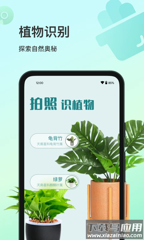 花卉识别软件截图1