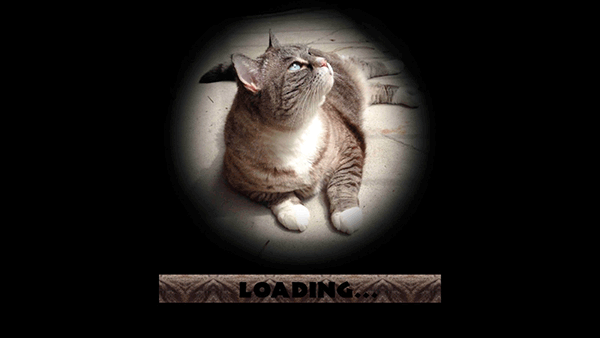 流浪猫模拟器手机版(StrayCatSim)最新版截图1