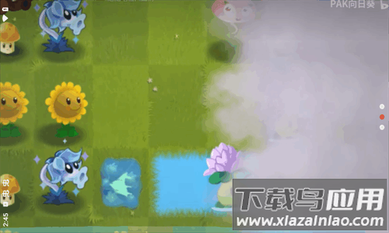 植物大战僵尸旅行版最新版(PvZ Travel)截图3
