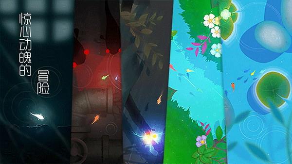 鲤KOI最新版最新版截图4