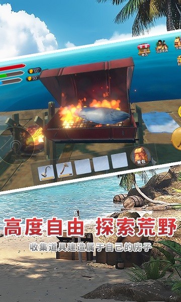 海贼世纪大冒险手机版截图1