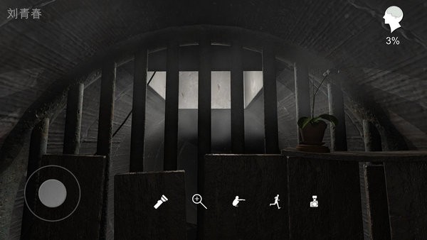 孙美琪疑案井底人最新版截图3