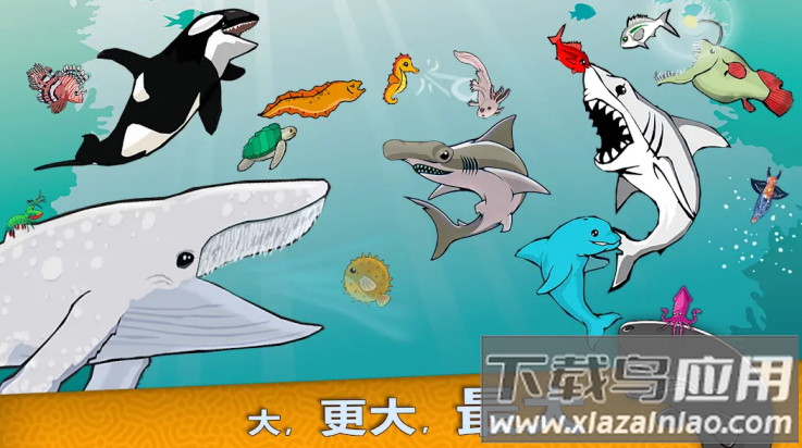 皇家鱼游戏最新版截图4