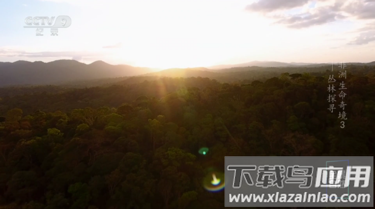 随风影库电视版app截图