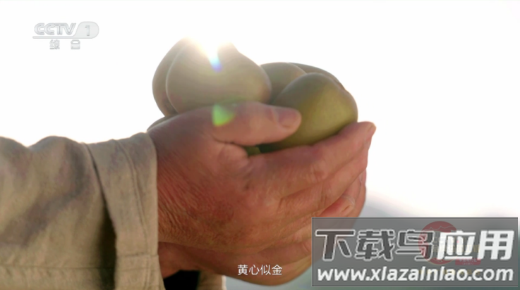 龙凤直播盒子app(L直播)截图