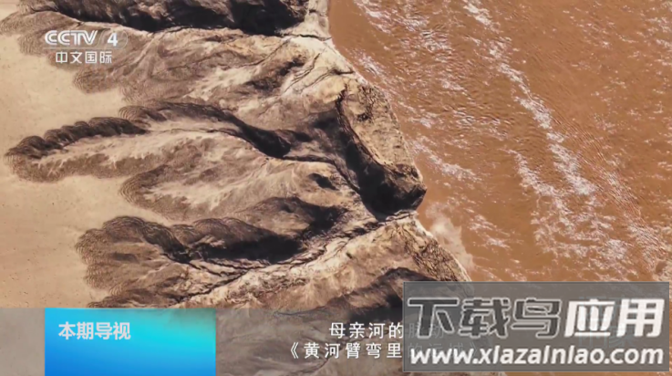 龙凤直播盒子app(L直播)截图