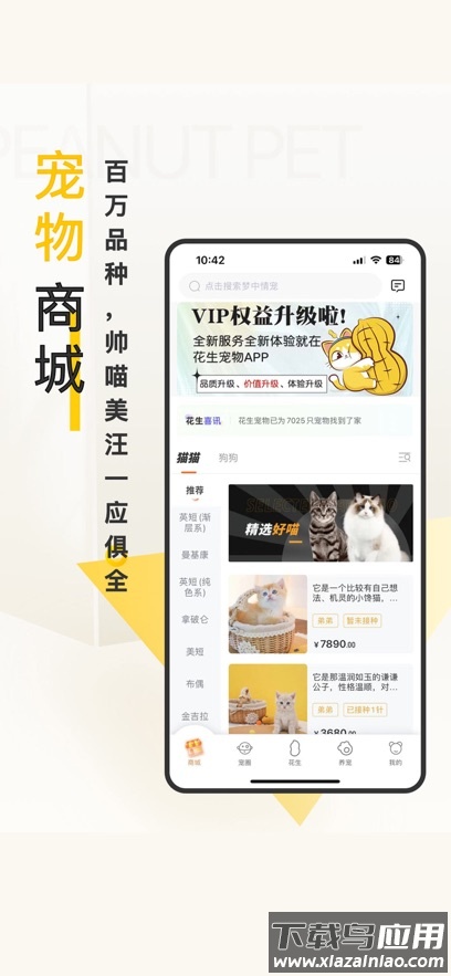 花生宠物app下载截图