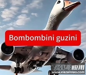 美国山海经大全图片8