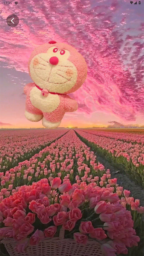 清风壁纸app安卓版最新版截图1