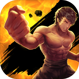 功夫全明星游戏